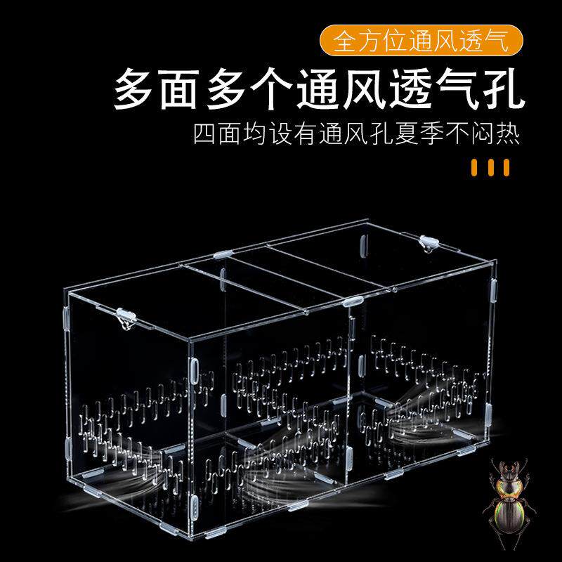 亚克力树栖饲养盒爬虫睫角守宫螳螂蛇甲虫寄居蟹高透加厚爬宠盒子