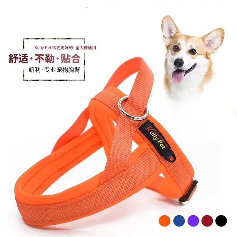 中小型犬胸背带式牵引绳狗狗法斗巴哥雪纳瑞英牛恶霸牵引绳狗绳子