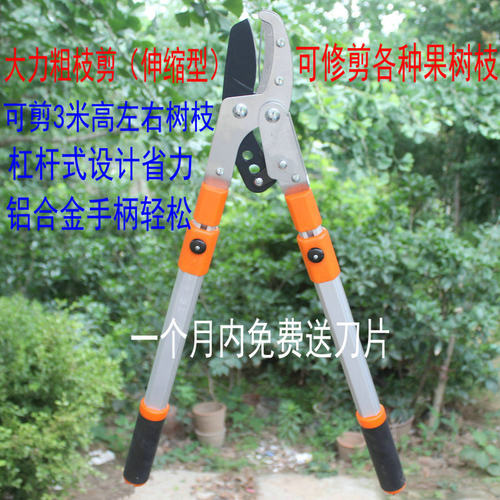 新款修剪树枝剪刀园林工具园艺剪刀修枝剪子果树剪枝剪省力粗枝剪
