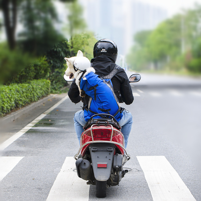 2021新宠物背包双肩大狗包透气骑车爬楼柯基法斗柴犬边牧背狗狗袋