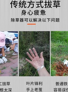 除草神器拔草器锄草专用工具不锈钢挖野菜铲连根多功能铲草除草钩
