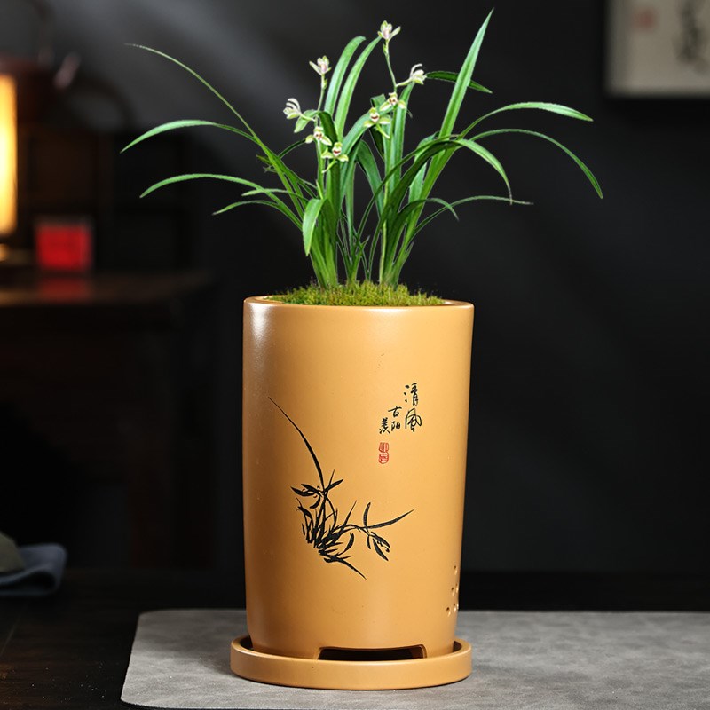 紫砂花盆兰花盆带托盘家用桌面室内兰花专用盆君子兰法师绿植盆