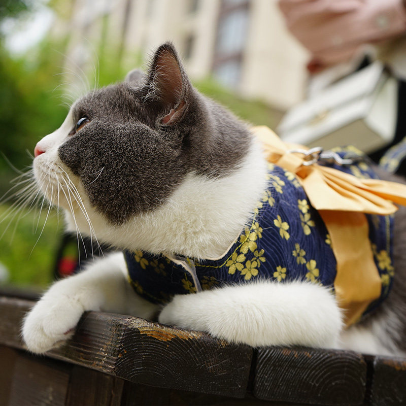 和服式猫咪牵引绳防挣脱猫绳子猫链子外出溜猫背心式猫牵引遛猫绳