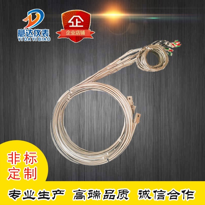 铠装新款意达温控器热电偶WRNK-191M 锅炉炉壁温 K 316L