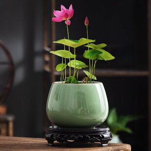 碗莲专用水培家用汝窑中式花盆陶瓷绿植小盆栽办公室桌面小摆件