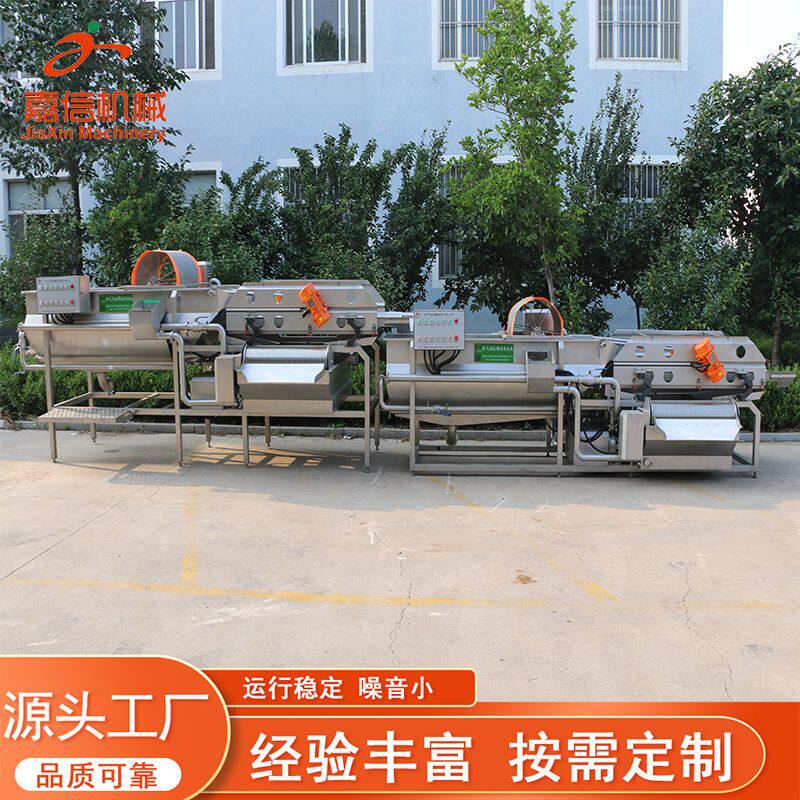 全自动洗菜洗果机器涡流清洗机中大型净菜洗菜设备洗菜生产线高压