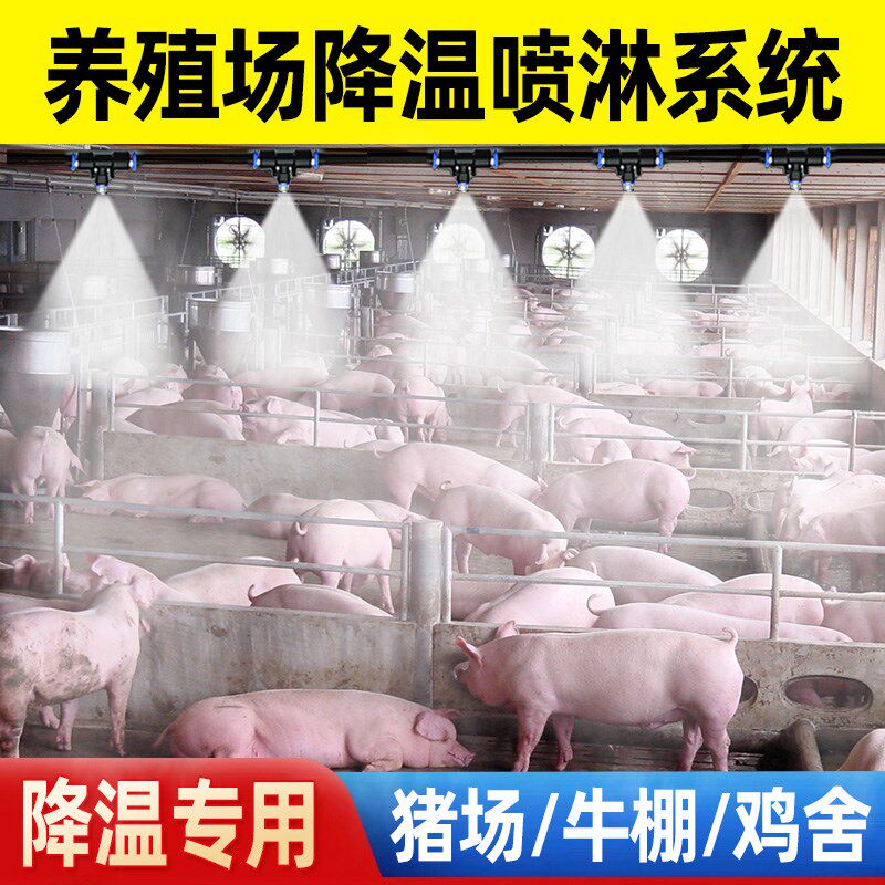 养殖场定时喷雾系统猪场鸡舍养牛降温设备雾化微喷淋消毒加湿喷头
