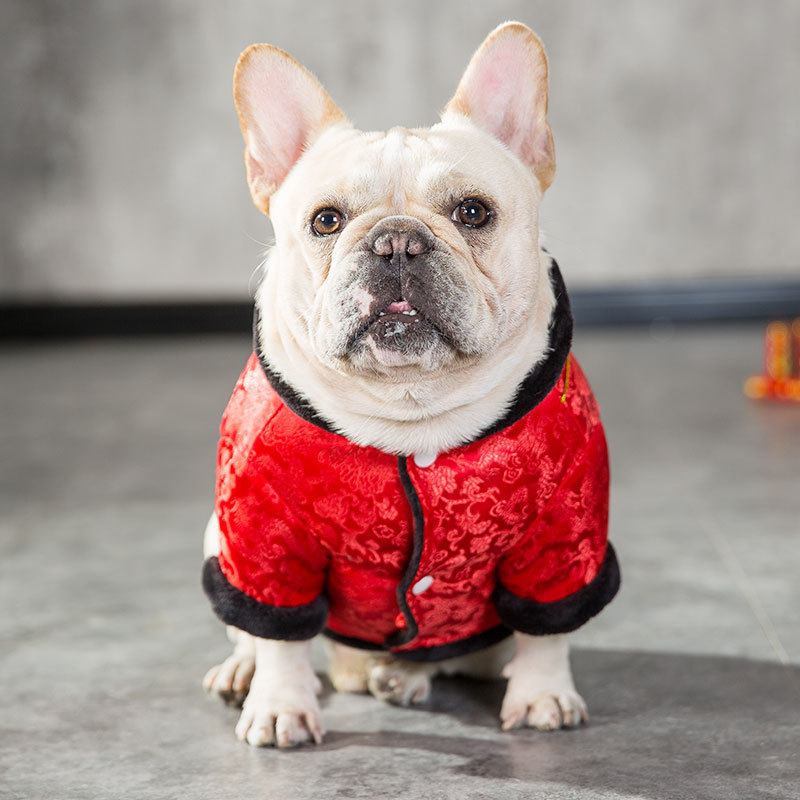 法斗新年衣服兔年喜庆唐装沙皮狗英斗斗牛犬巴哥冬天保暖送红包