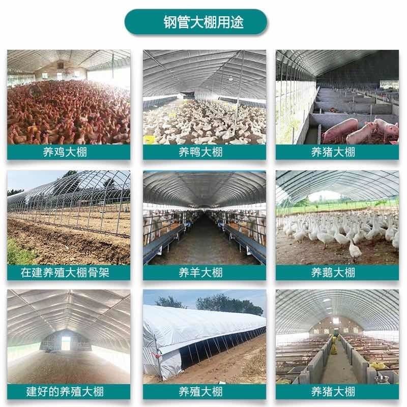 养殖大棚全套养鸡大棚骨架养猪牛羊大棚钢管家用种植温室大棚配件