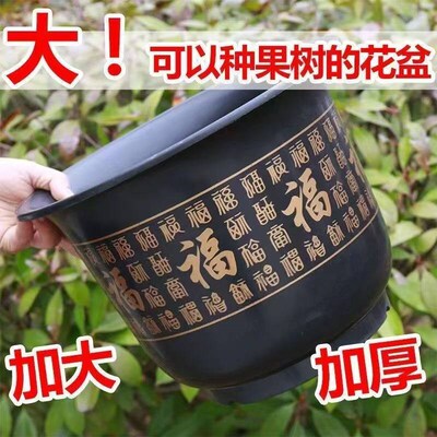 【拍一发四】发财树果树专用特大号加厚耐用树脂花盆仿陶瓷花盆