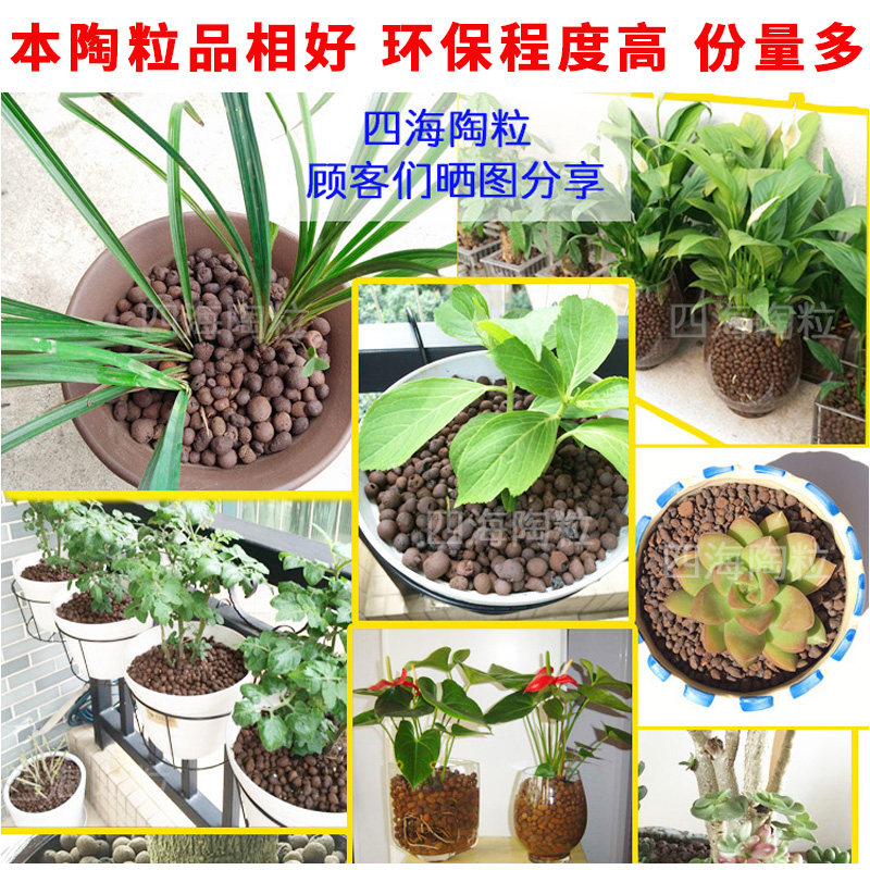 12斤包邮!种花种菜滤水陶粒基质水培阳台无土栽培园艺垫底陶粒