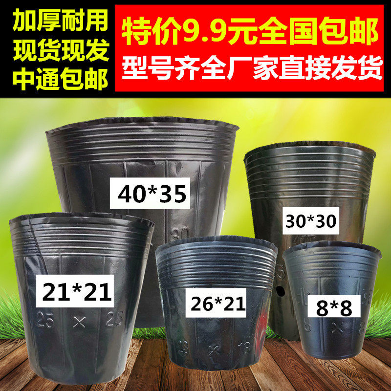 营养钵黑色塑料育苗杯育苗袋育苗盆一次性花盆加厚8*8营养杯西瓜