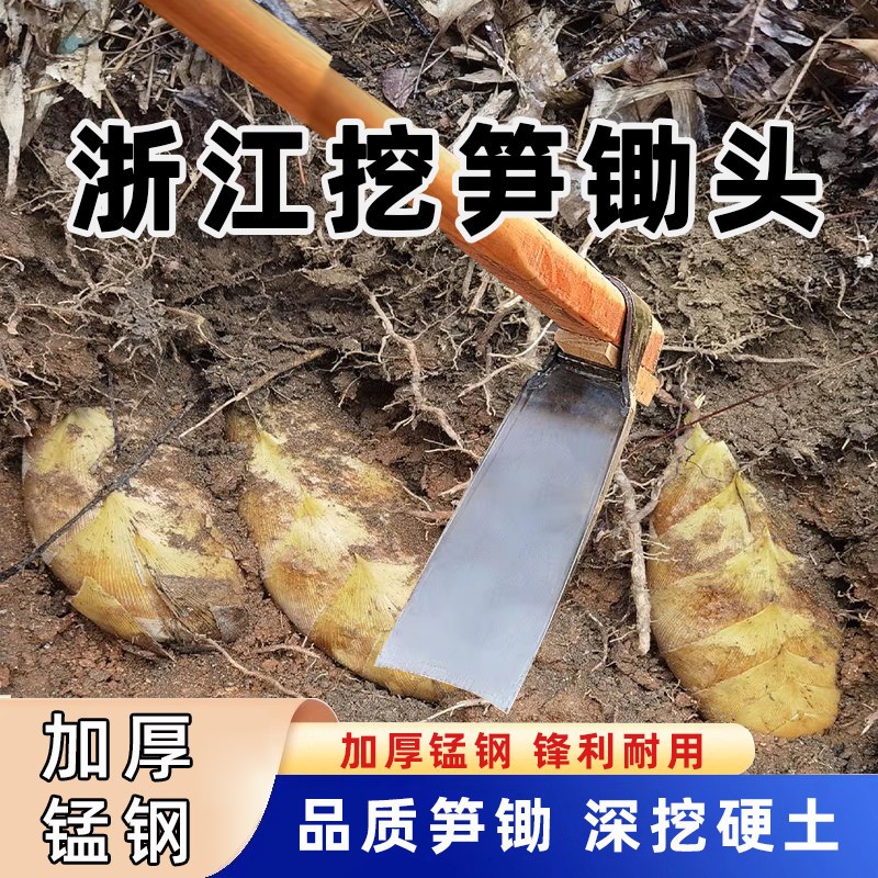 挖笋专用锄头挖冬笋专用锄头浙江挖笋锄头挖笋专用锄斧锄锰钢锄板