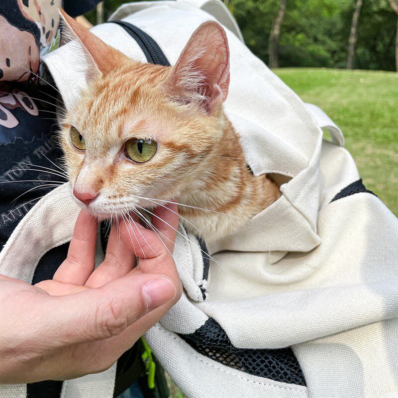 猫包外出单肩提袋手提中小型犬狗背包宠物透气大容量斜跨帆布提包