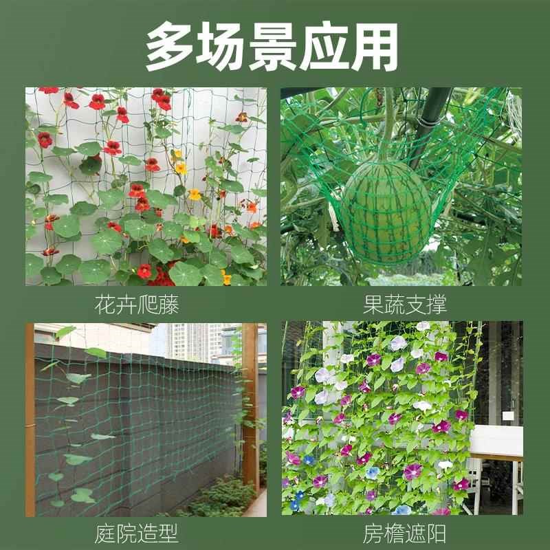 园艺植物爬藤网攀爬种植搭架丝瓜百香果豆角藤蔓花卉网农用葡萄棚