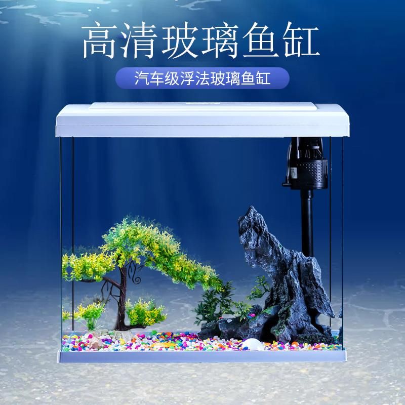 玻璃金鱼缸客厅小型桌面创意鞋柜子一体家用免换水懒人生态水族箱