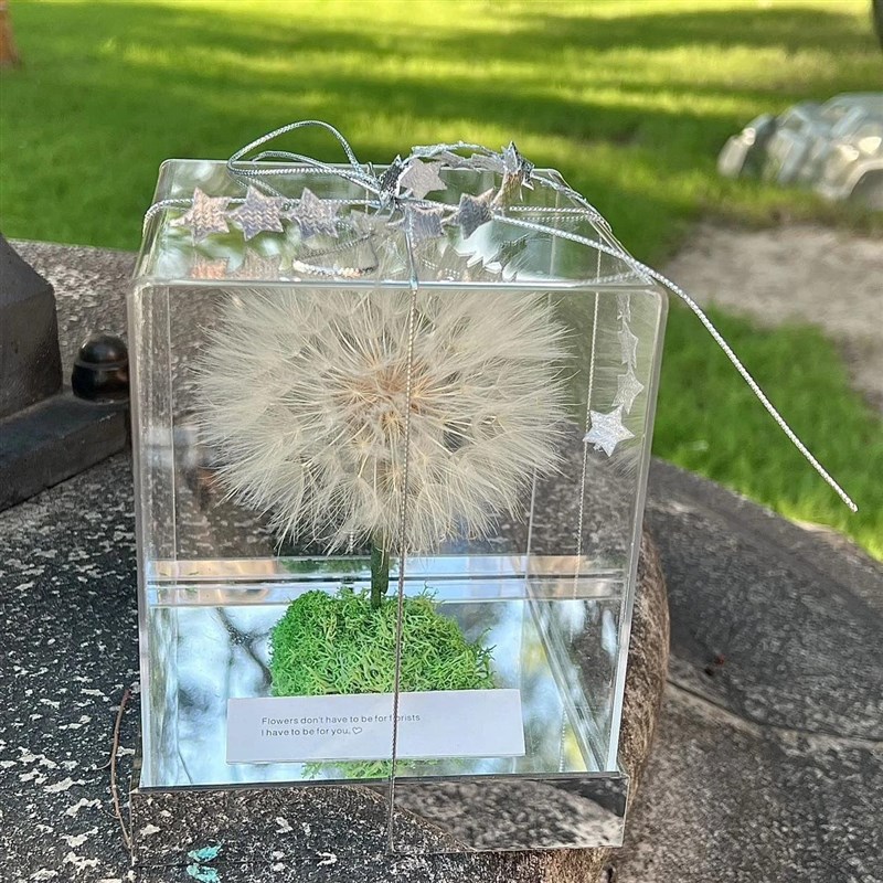 永生花玫瑰蒲公英笔筒摆件礼盒许愿瓶教师节生日礼物送老师同学