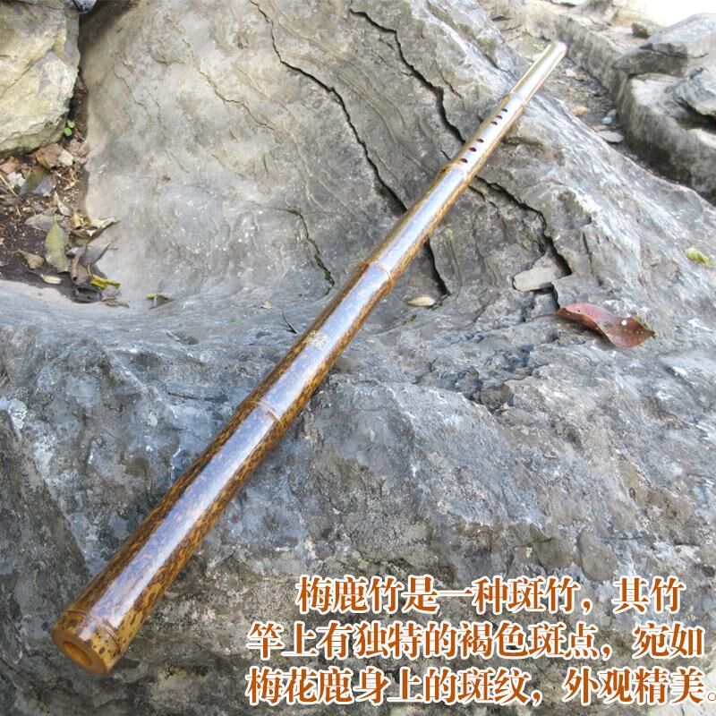 梅妃竹洞箫湘妃竹洞箫紫竹洞箫萧乐器专业演奏洞箫初学者洞箫