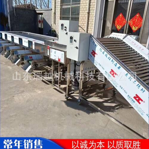 大型瓜果滚杠分选机 商用土豆苹果分选设备 工业洋葱胡萝卜分级机
