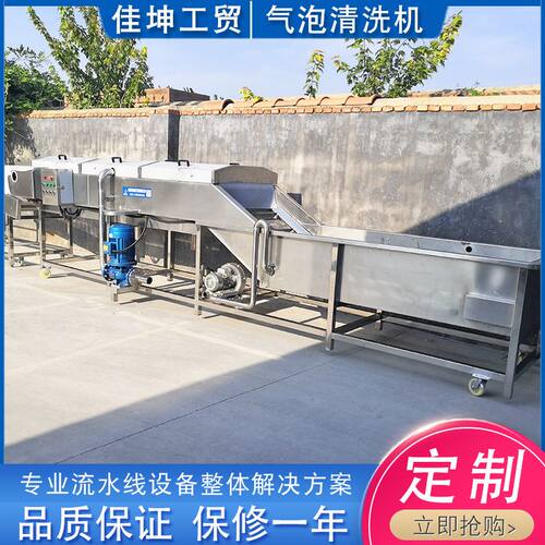 供应全自动果蔬清洗机 中药材喷淋式清洗设备 蔬菜气泡清洗流水线