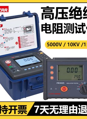征能ES3035绝缘电阻测试仪高压兆欧表FR3025绝缘摇表ES3045兆欧表