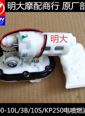 力帆配件LF200-10S/10R/10L/KPM20/KP250/250-D电喷车专用燃油泵