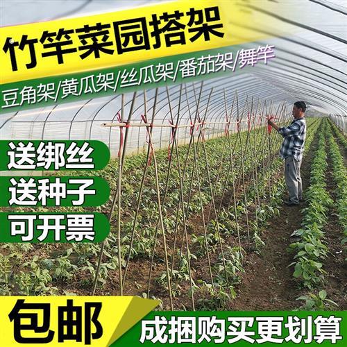 菜园搭架竹竿豆角黄瓜丝瓜番茄番茄爬藤架篱笆围栏细竹子彩旗杆