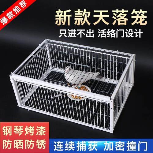 新款天落笼鸽子笼加厚加密自动收鸽子神器活络门撞门户外只进不出