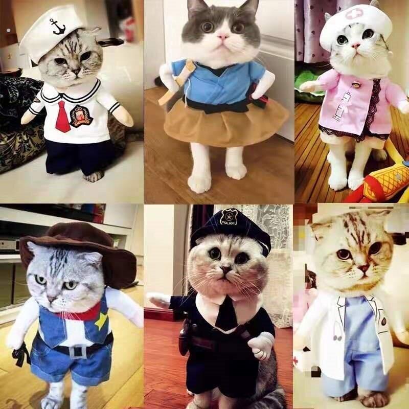 猫咪衣服狗狗宠物服饰可爱小猫咪夏季搞笑搞怪装立体衣服拍摄道具