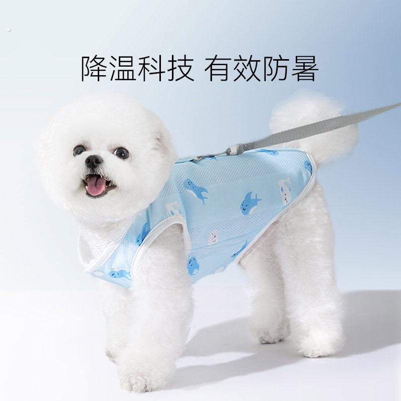 狗狗牵引绳外出防挣脱猫咪网红衣服背心式小型犬胸抱婴袋溜狗链
