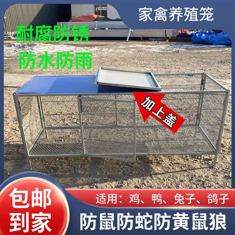 家养鸡笼养殖笼铁丝网小鸡笼子家用养兔子专用笼子大号鸭子笼室外