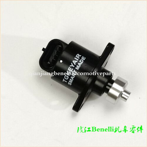 适用追600赛600黄龙BJ600GS/BN/蓝宝龙BJ300GS步进马达怠速马达