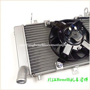 适用金鹏BJ500GS-A/5D/TRK502X/骁500/5F/5B水箱组件 风扇散热器