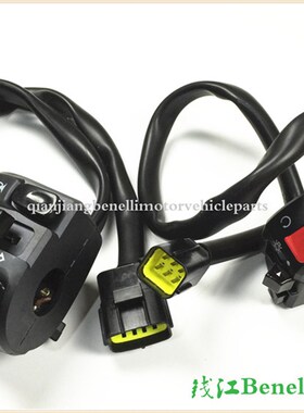 适用倍力尼黄巡BJ600GS-A/-5A左右组合开关 喇叭 客厅灯 启动开关