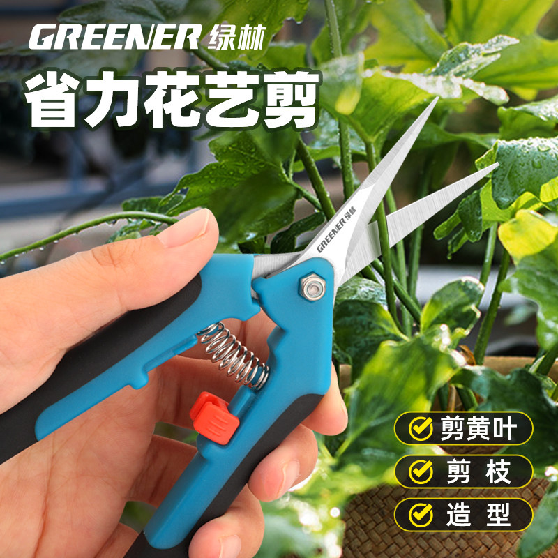 绿林摘果剪不锈钢修枝剪园艺剪刀摘葡萄盆栽剪枝剪刀花艺专用剪刀