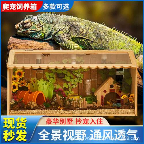 裸幼龟长方形蜜袋鼠爬虫箱鳄龟陆龟杜比螳螂大号蛐蛐守宫别墅蜈蚣