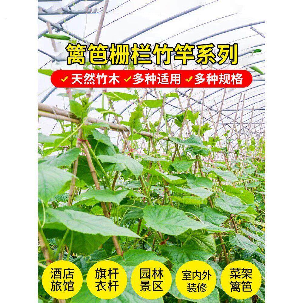 精选100根竹竿菜园搭架防腐小细竹杆棍旗杆黄瓜豆角爬藤菜架