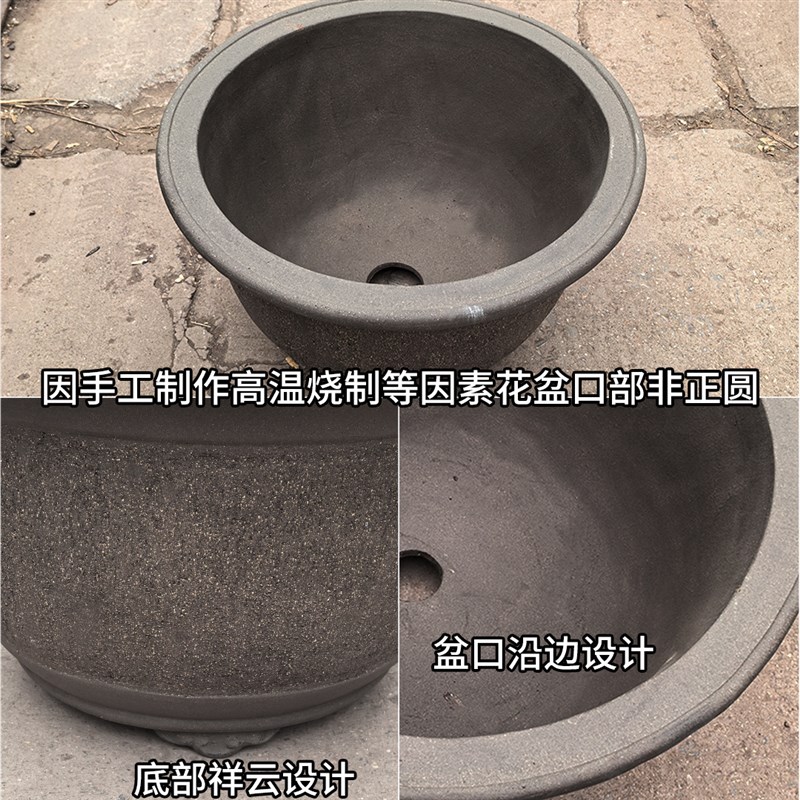 1米特大养荷花睡莲紫砂养鱼缸花盆户外庭院盆景水培栽绿植物种树