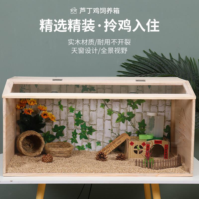 芦丁鸡饲养箱全套推拉门爬宠仓鼠宠物窝木屋造景智能恒温全景实木
