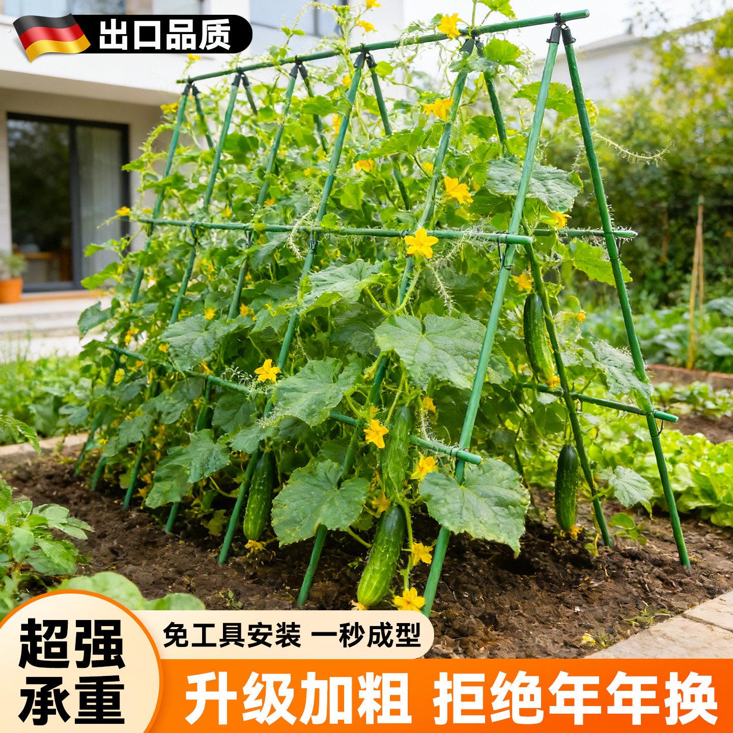黄瓜架杆楼顶种菜架子丝瓜豆角蔬菜爬藤架搭棚子支架番茄支伸缩杆