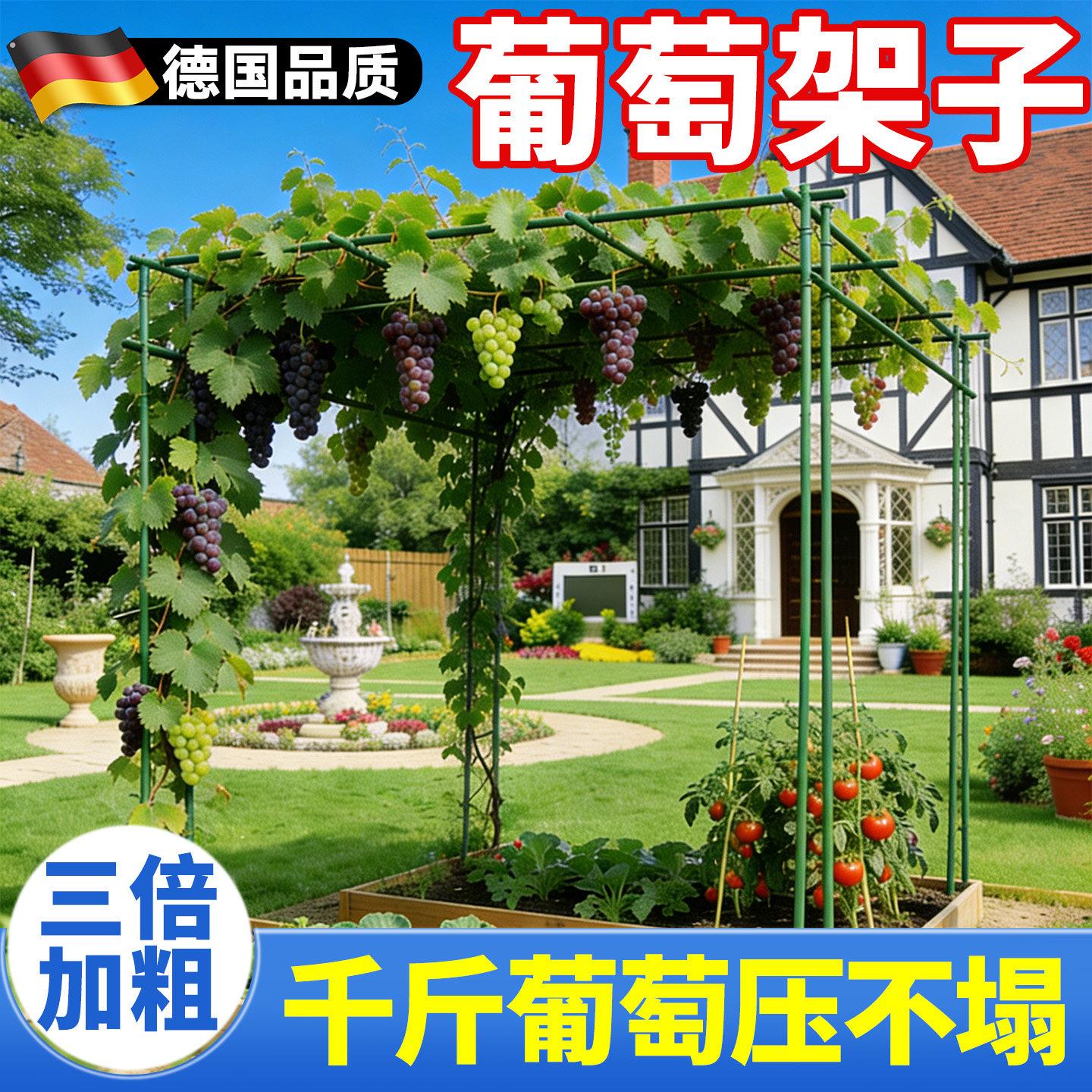 葡萄架子庭院户外百香果爬藤架黄瓜架杆丝瓜搭棚子支架植物支伸缩