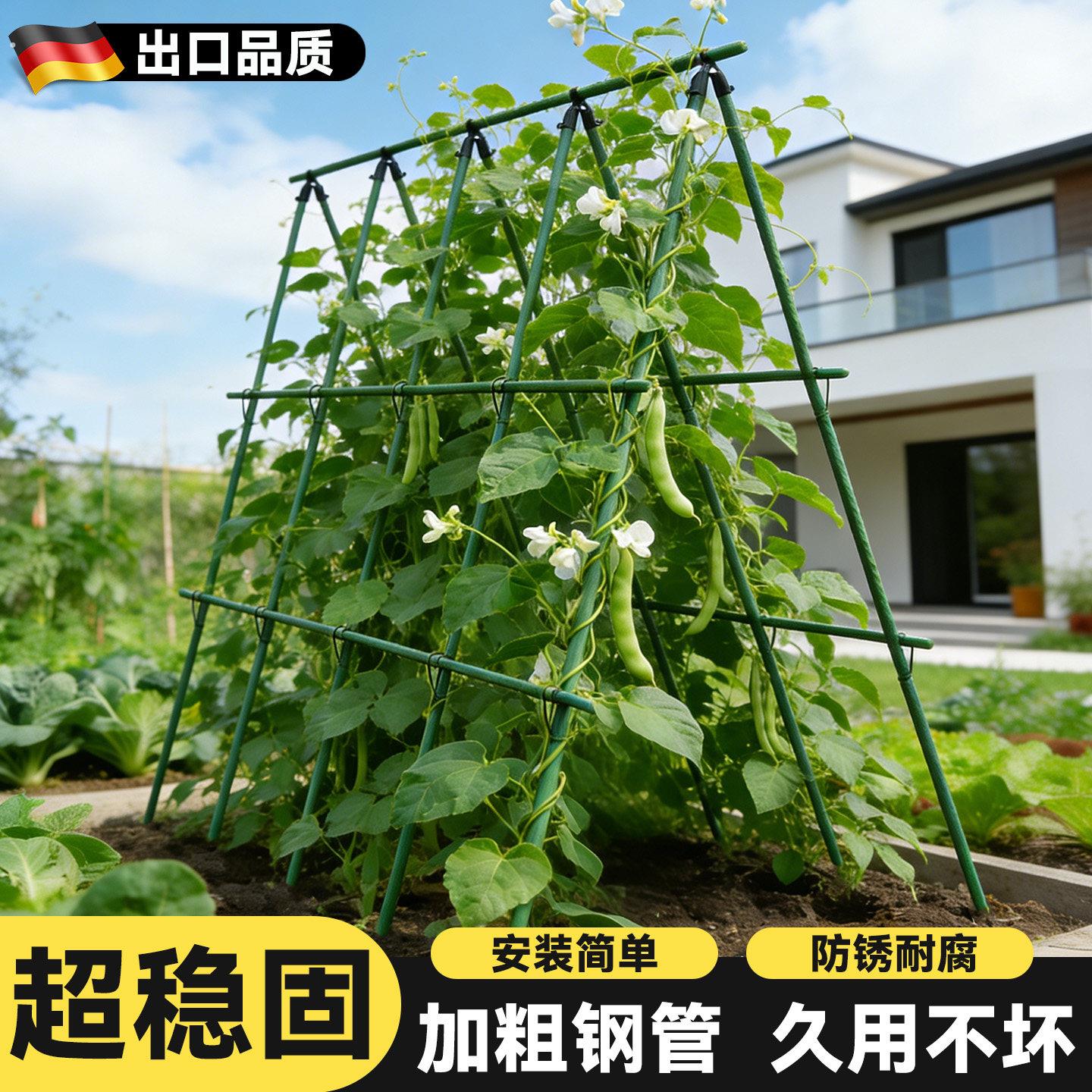 豆角爬藤杆黄瓜架子楼顶种菜架子丝瓜番茄蔬菜搭棚支架四季豆架杆