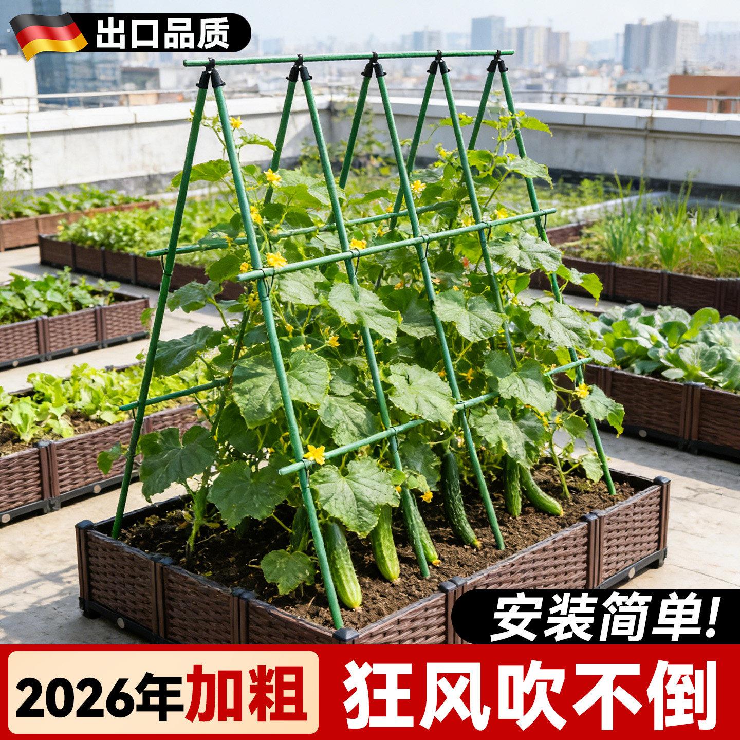 户外种菜爬藤架黄瓜豆角番茄支伸缩杆庭院植物葡萄攀爬架园艺支架