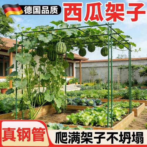 西瓜架子葡萄爬藤架庭院户外黄瓜架杆丝瓜百香果攀爬架搭棚子支架