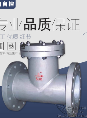 SBT/SRT正/反折流高温水蒸汽油品管道T型铸钢法兰过滤器DN25-600