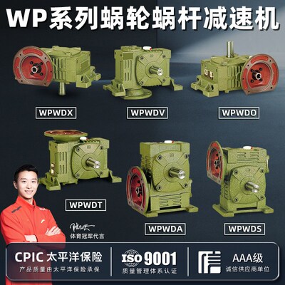 WPWDA/WPWDS/WPWDV/WPWDO/WPWDX/WPWDT蜗轮蜗杆减速机变速齿轮箱