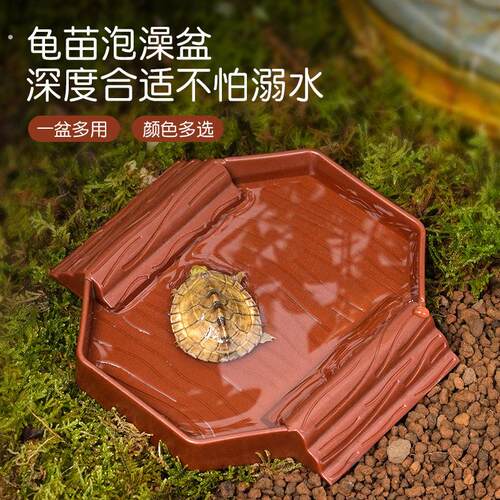 乌龟小号泡澡盆半水龟爬虫幼龟洗澡盆水食两用爬宠饲养箱造景