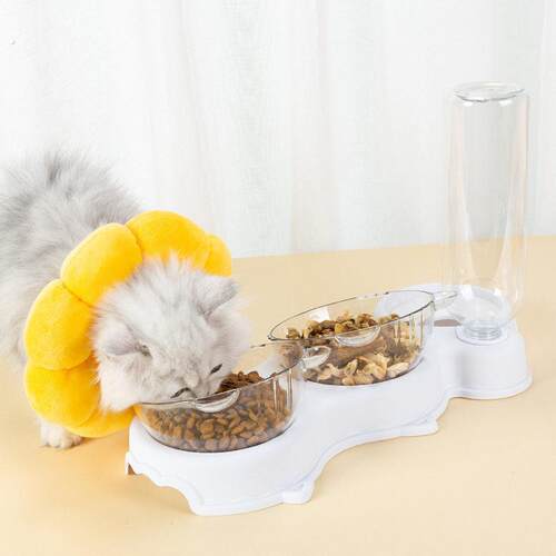 猫碗双碗自动饮水食盆狗狗碗水碗防打翻宠物用品饭碗狗盆