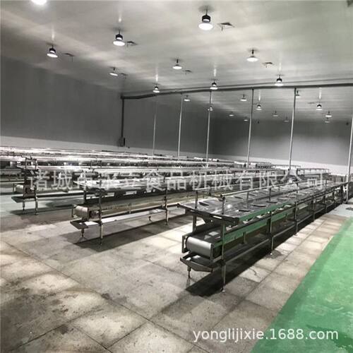 全自动西红柿剥皮挑拣线 人工操作台 果蔬挑拣台 打包装箱案板