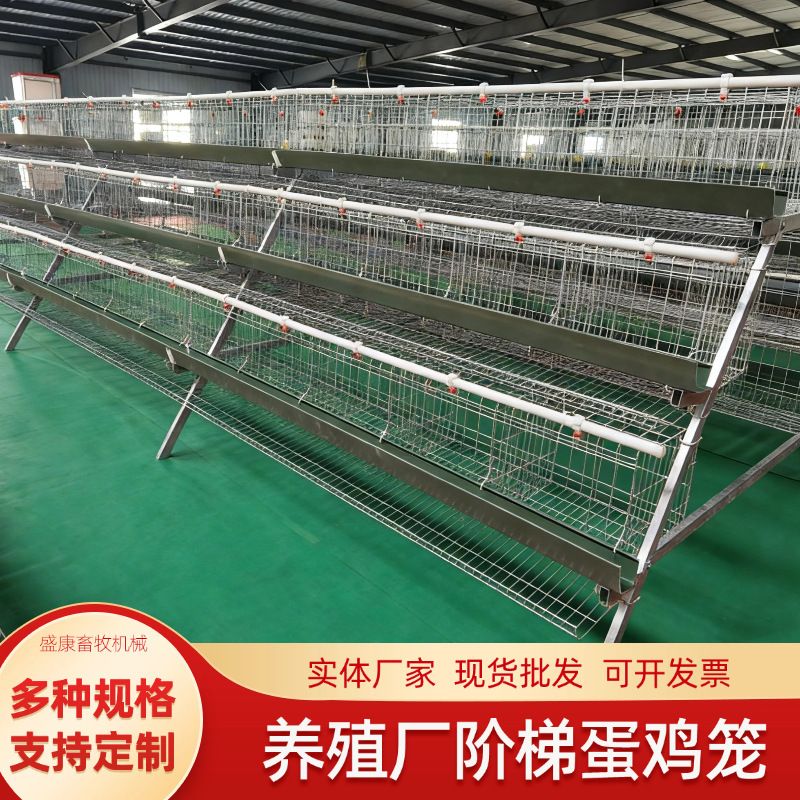 阶梯式蛋鸡笼多层养鸡设备接溜滑产蛋养殖场用自动滚蛋鸡笼子